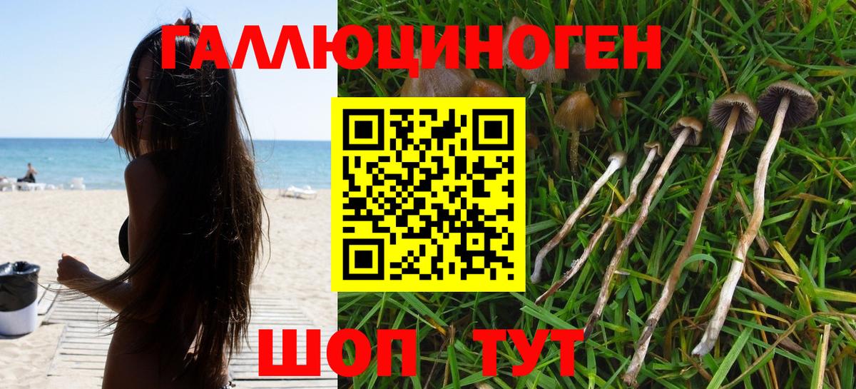 Галлюциногенные грибы мицелий Кстово